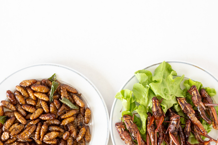 Top view of Fried insects in dish on white background. copy spaceの写真素材