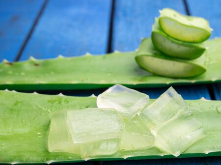 Aloe Vera leaves. Aloe Vera gel is very useful herbal medicine for skin careの写真素材