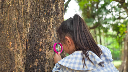 Girl using a magnifying glass for watching tree trunk at the park.の写真素材