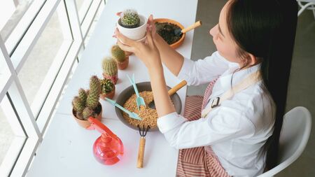 Young gardener woman holding a flowerpot of cactus in the room.の写真素材