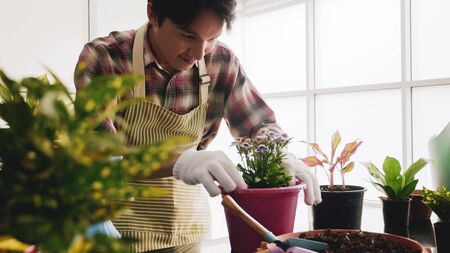 Happy gardener man taking care of flower in a flowerpot.の写真素材