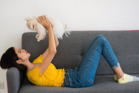 Beautiful woman playing with shihtzu dog on a sofa at home