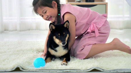 Asian little girl having fun playing with her dog at home.の写真素材