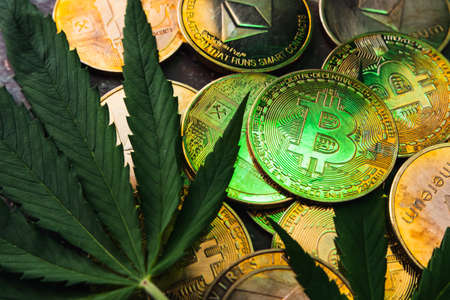 Golden coins with crypto currency symbol and cannabis leaves.の写真素材