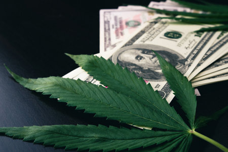 The cannabis plant on US dollars.  Money with marijuana leaves.の写真素材