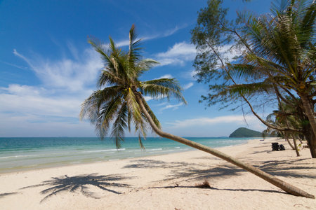 Beautiful natural scenery with beach, coconut palms and blue skyの写真素材