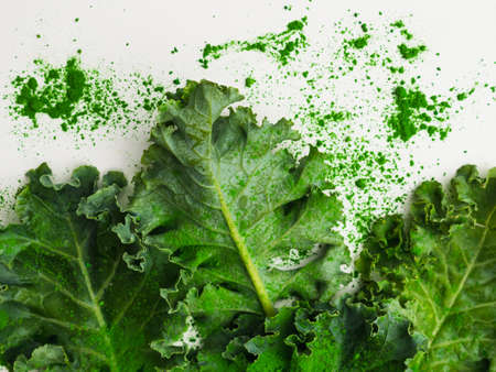 Green leaves of kale and kale powder on white background.の写真素材