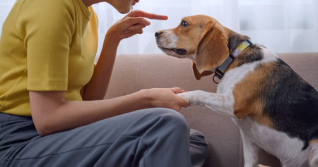 A young woman scolds her dog for destroying household items.の写真素材