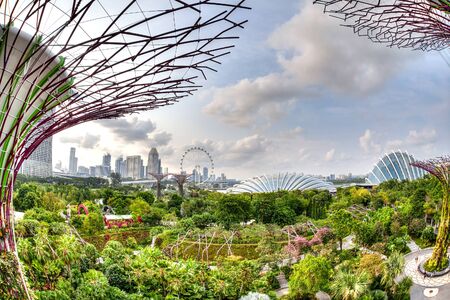 Aerial view of the city skyline from the Supertree Grove Skywalk at Gardens by the Bay. These man-made trees of up to 16 storeys in height has a connected 128-metre long walkway. HDR rendering.のeditorial素材
