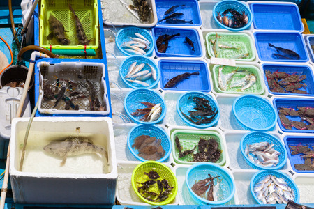 Baskets of sorted live fish and seafood on a fishing trawler alonside the Sai Kung pier outdoor floating seafood market in Hong Kong.の写真素材