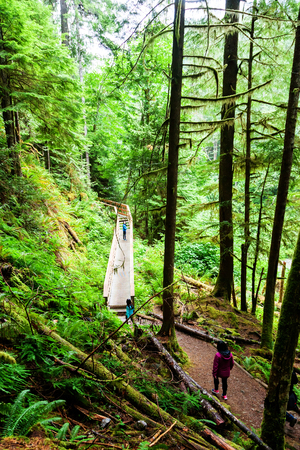 QUALICUM BEACH, CANADA - JULY 7, 2016: Visitors hike along the wooden boardwalk toward the lower caves at Horne Lake Caves Provincial Park on Vancouver Island's Qualicum Beach.のeditorial素材