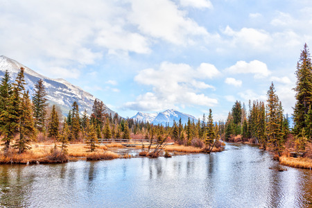 Autumn view of Policeman's Creek Boardwalk, a hiking trail in the town of Canmore, Alberta, that follows a river with the snow-covered Canadian Rockies in the background.の写真素材