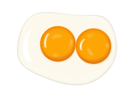 Fried egg with double yolk isolated on white background.の写真素材