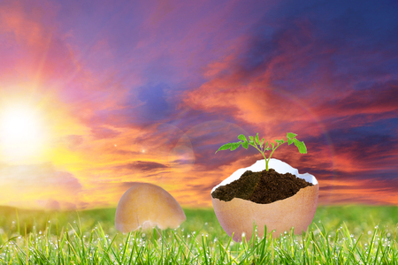 Easter Sunday sunrise over landscape with a cracked Easter egg showing new plant life growing, symbolizing Christianity's message of the empty tomb of Jesus from which He resurrected.の写真素材
