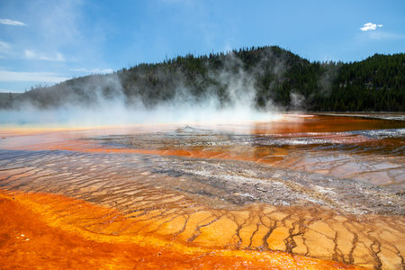 Steam rises from the Grand Prismatic Spring in Yellowstone National Park. It is the largest hot...