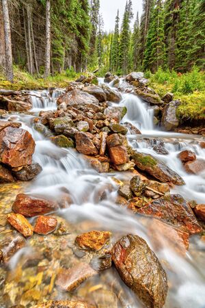 Cascading waterfall along the East Opabin Trail at Lake O'Hara in the Canadian Rockies of Yoho National Park.の写真素材