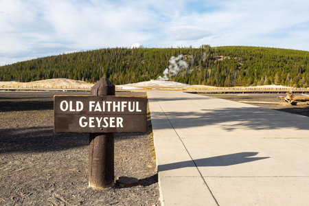 Old Faithful Geyser sign at Yellowstone National Park with steam emitting from the geyser in the...