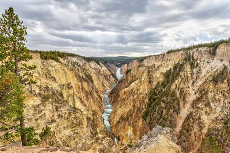 Lower Falls and Grand Canyon of the Yellowstone from Artist Point. The canyon is 20 miles long, over 1,000 feet deep and up to 4,000 feet wide.の写真素材