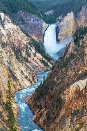 Lower Falls and Grand Canyon of the Yellowstone from Artist Point. The canyon is 20 miles long, over 1,000 feet deep and up to 4,000 feet wide.の写真素材