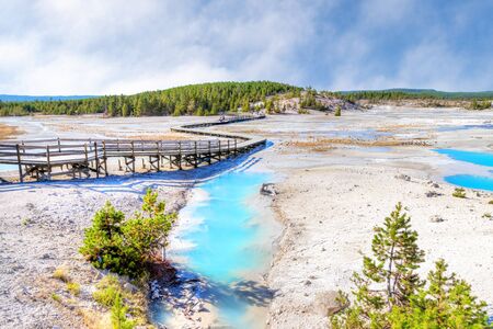 Geothermal pools at Porcelain Basin boardwalk trail inside Norris Geyser Basin of Yellowstone National Park, Wyoming, USA.の写真素材