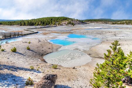 Geothermal pools at Porcelain Basin boardwalk trail inside Norris Geyser Basin of Yellowstone National Park, Wyoming, USA.の写真素材