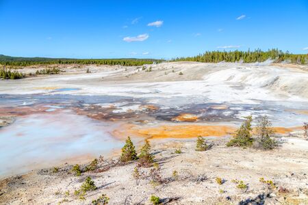 Geothermal pools at Porcelain Basin Trail inside Norris Geyser Basin of Yellowstone National Park, Wyoming, USA.の写真素材