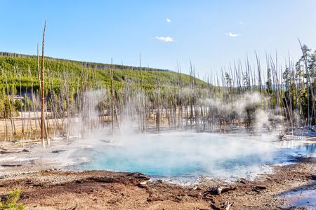 Hot steam rises from Cistern Spring in Norris Geyser Basin at Yellowstone National Park, Wyoming, USAの写真素材