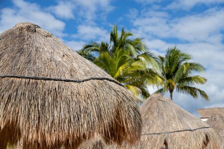 Close up of coconut palm leaf straw beach umbrella against blue skies with copy space in Riviera Maya Cancun beach on the Caribbean coast of Mexico.の写真素材