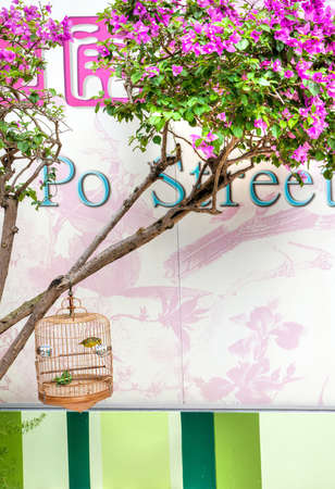 Hong Kong, Hong Kong SAR - July 10, 2017: A Yellow-browed warbler in a cage at the Yuen Po Street Bird Garden in Kowloon, Hong Kong. The public park is designed like a traditional Chinese garden with dozens of stalls selling exotic birds, beautifully crafのeditorial素材