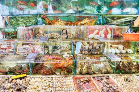 Fish, lobsters, crabs and other mollusk seafood are crammed into fish tanks at the seafood market in Sai Kung, Hong Kong. Sai Kung village is famous for its many seafood restaurants and floating fish market.のeditorial素材