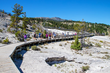 Wyoming, USA - Aug. 28, 2019: Visitors exploring the lower terraces of Mammoth Hot Springs on the boardwalk at Yellowstone National Park, a major attraction in the United States.のeditorial素材