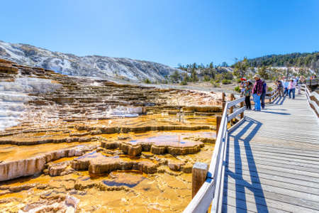 Wyoming, USA - Aug. 28, 2019: Visitors admiring Jupiter and Mound Terraces along the boardwalk at Mammoth Hot Springs in Yellowstone National Park, where travertine formations and flowing hot water shape the surreal landscape.のeditorial素材