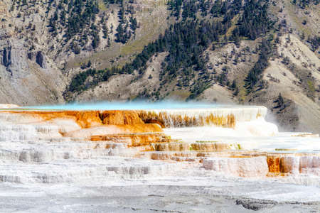 Hot water cascades over the travertine terraces of Canary Spring at Mammoth Hot Springs in Yellowstone National Park. The limestone terrace features change constantly due to hydrothermal waters and slope of the ground.の写真素材