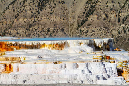 Hot water cascades over the travertine terraces of Canary Spring at Mammoth Hot Springs in Yellowstone National Park. The limestone terrace features change constantly due to hydrothermal waters and slope of the ground.の写真素材