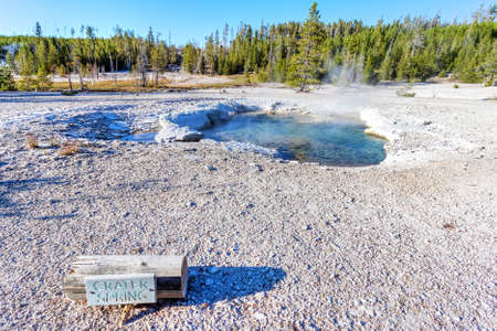 Hot steam rises from Crater Spring in the Norris Geyser Basin at Yellowstone National Park, Wyoming, USAの写真素材