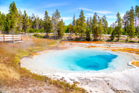 Silex Spring, a hot spring pool in the Lower Geyser Basin of Fountain Paint Pot in Yellowstone...