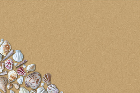 Colorful seashells on sandy beach background texture with copy space.