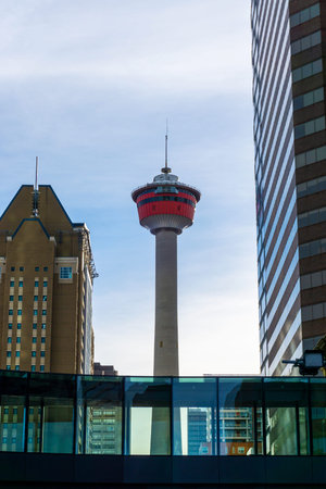 Busy downtown Calgary business district with the iconic Calgary Tower in between office buildings on...