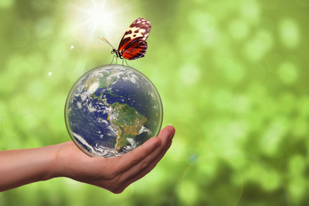 Nature environment protection concept with planet earth inside glass sphere with butterfly and copy space. Concept of climate control, environmental conservation, ecology or green movement.の写真素材
