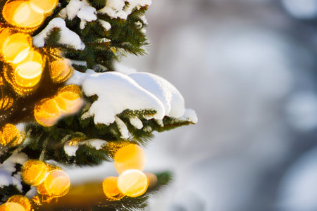 Fresh snow on Christmas pine tree with deliberate bokeh lights effect and copy space. Happy holidays and Christmas theme background.の写真素材