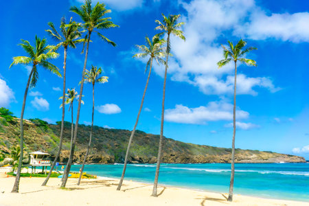 Beautiful Hanauma Bay in Oahu, Hawaii, with a view of the lifeguard house, palm trees, mountains created from a volcanic crater and surf boards on the white sandy beachの写真素材
