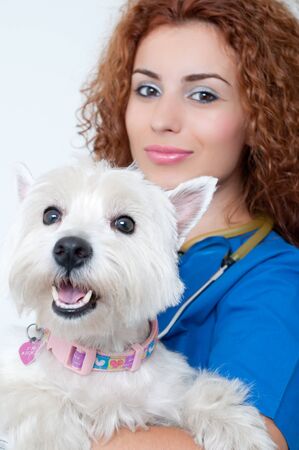 Female vet with dogの写真素材