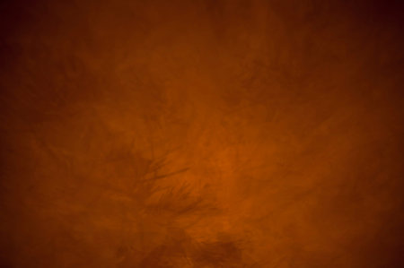 Christmas tree branch shadows abstract background