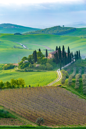 Val d'Orcia, Tuscany, Italy. A lonely farmhouse with cypress and olive trees, rolling hills.のeditorial素材