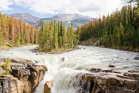 Sunwapta falls in Jasper National Parkの写真素材
