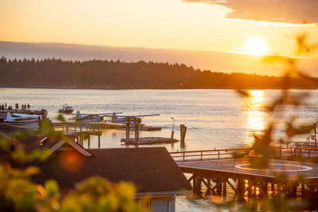 Tofino, Vancouver Island. British Columbia, Canada. Sea Planes and harbour at sunet