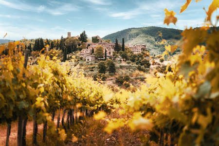 Tuscany, vineyards in autumn. Italyの写真素材
