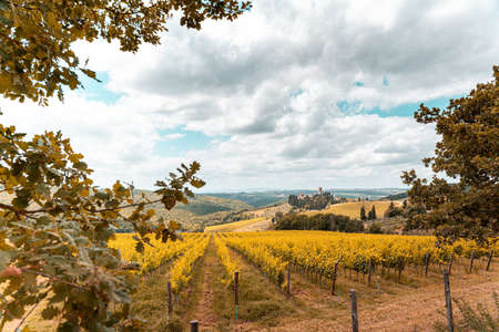 Tuscany, vineyards in autumn. Italyの写真素材