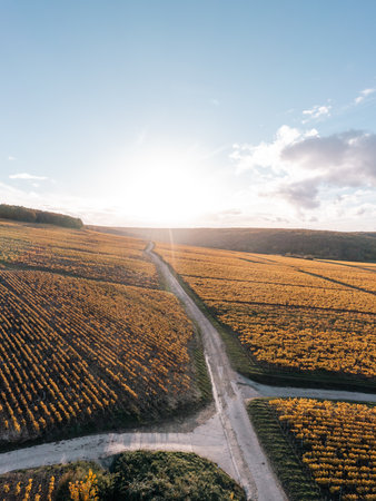 Wine trail, country road and Chablis vineyards. Burgundy, Franceの写真素材
