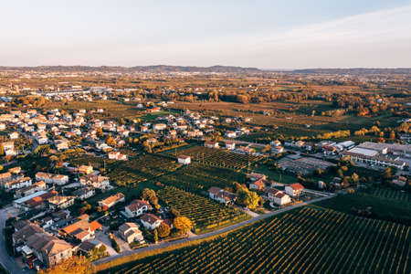 Aerial view of Vineyards in Valdobbiadene, Veneto, Italyの写真素材